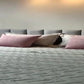 Cabeceira Modular Estofada Premium Elegance – Painel Adesivo Sem Furos para Cama Box Casal, Queen e King